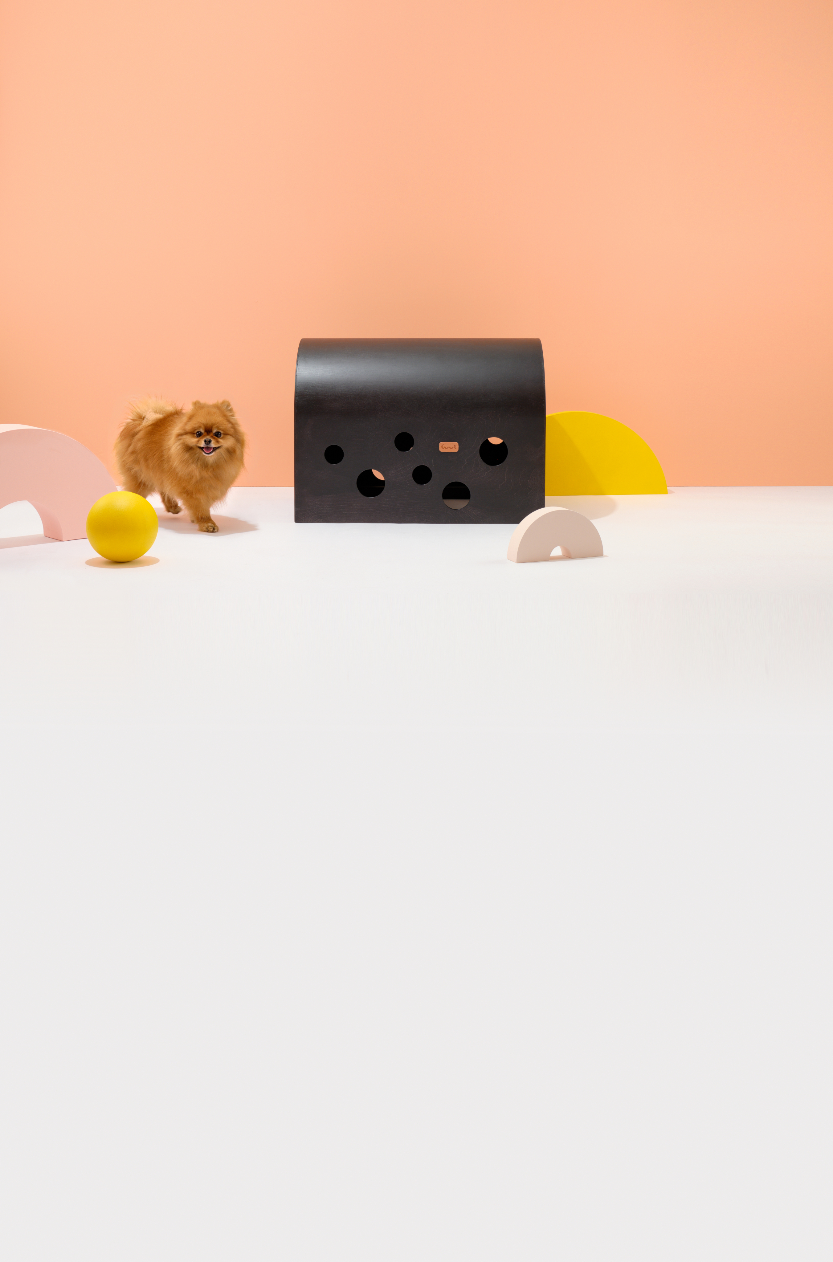 Small Pomeranian dog next to the black Cuut crate in a soft pastel environment