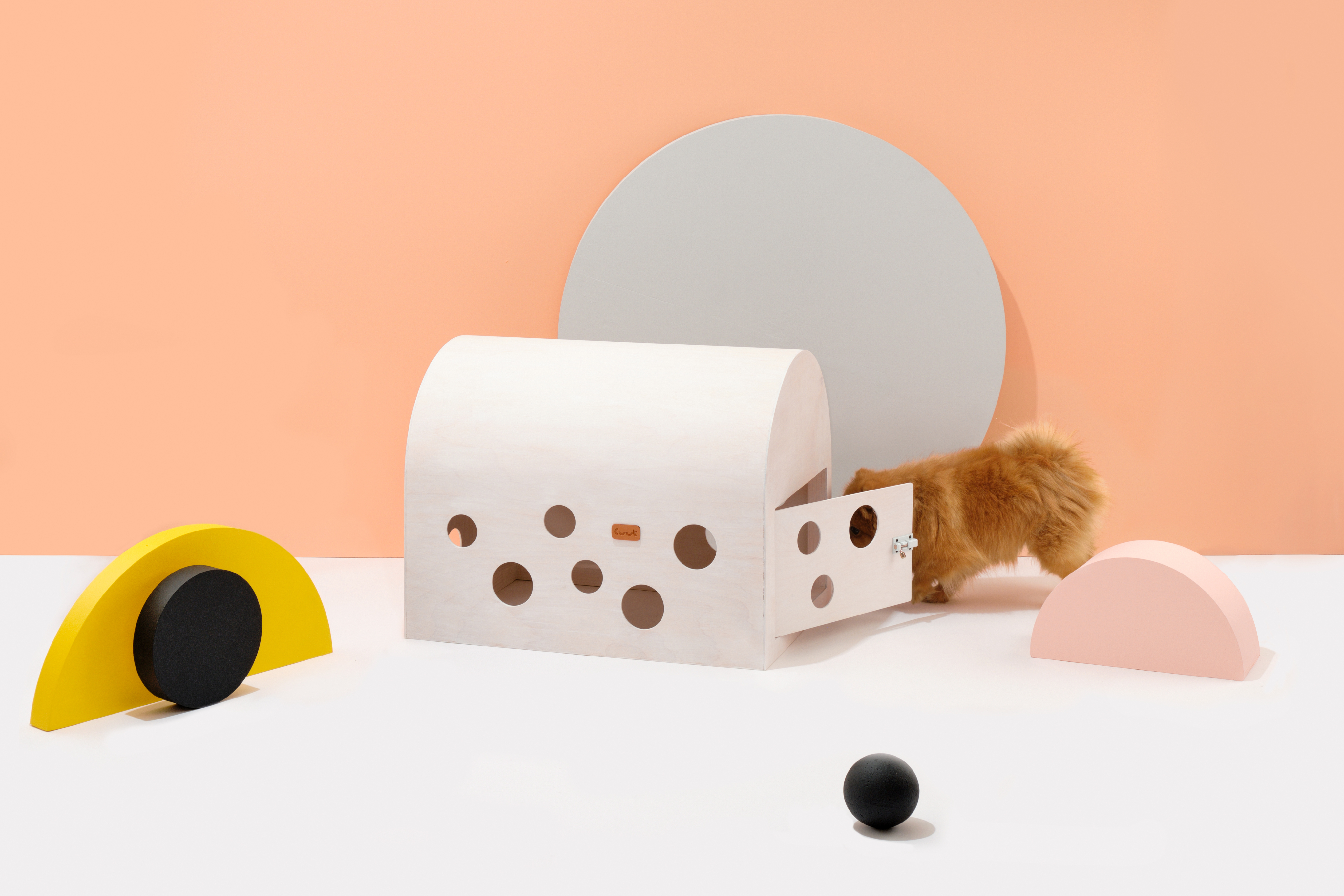 Cuut pet crate with closable door shown open, dog entering crate