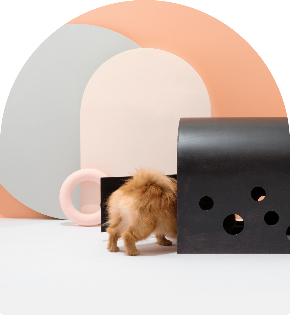 Small dog entering the black Cuut pet crate in a modern pastel setup