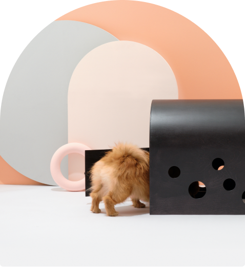 Small dog entering the black Cuut pet crate in a modern pastel setup