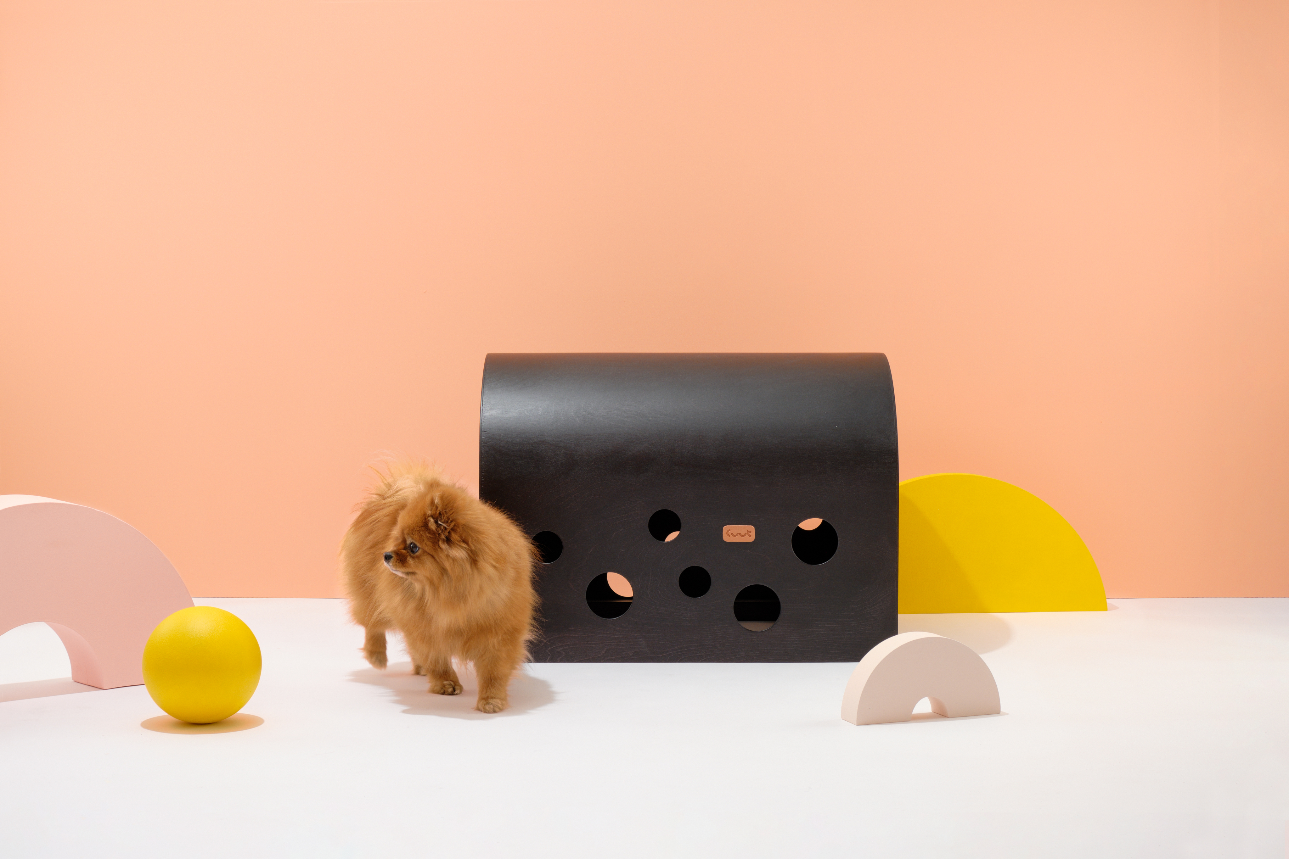 Cuut small pet crate in white with abstract modern shapes in the background