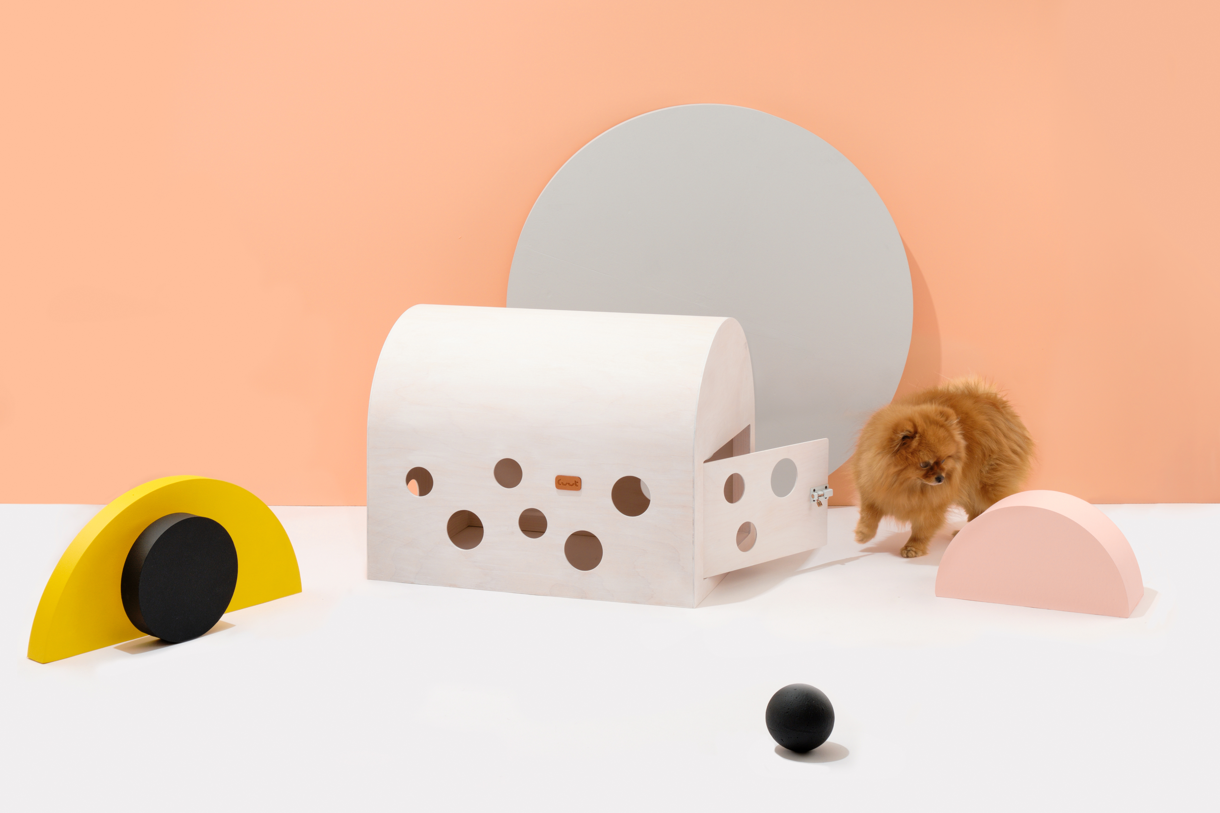 White Cuut pet crate with a small dog beside it in a minimalist interior scene