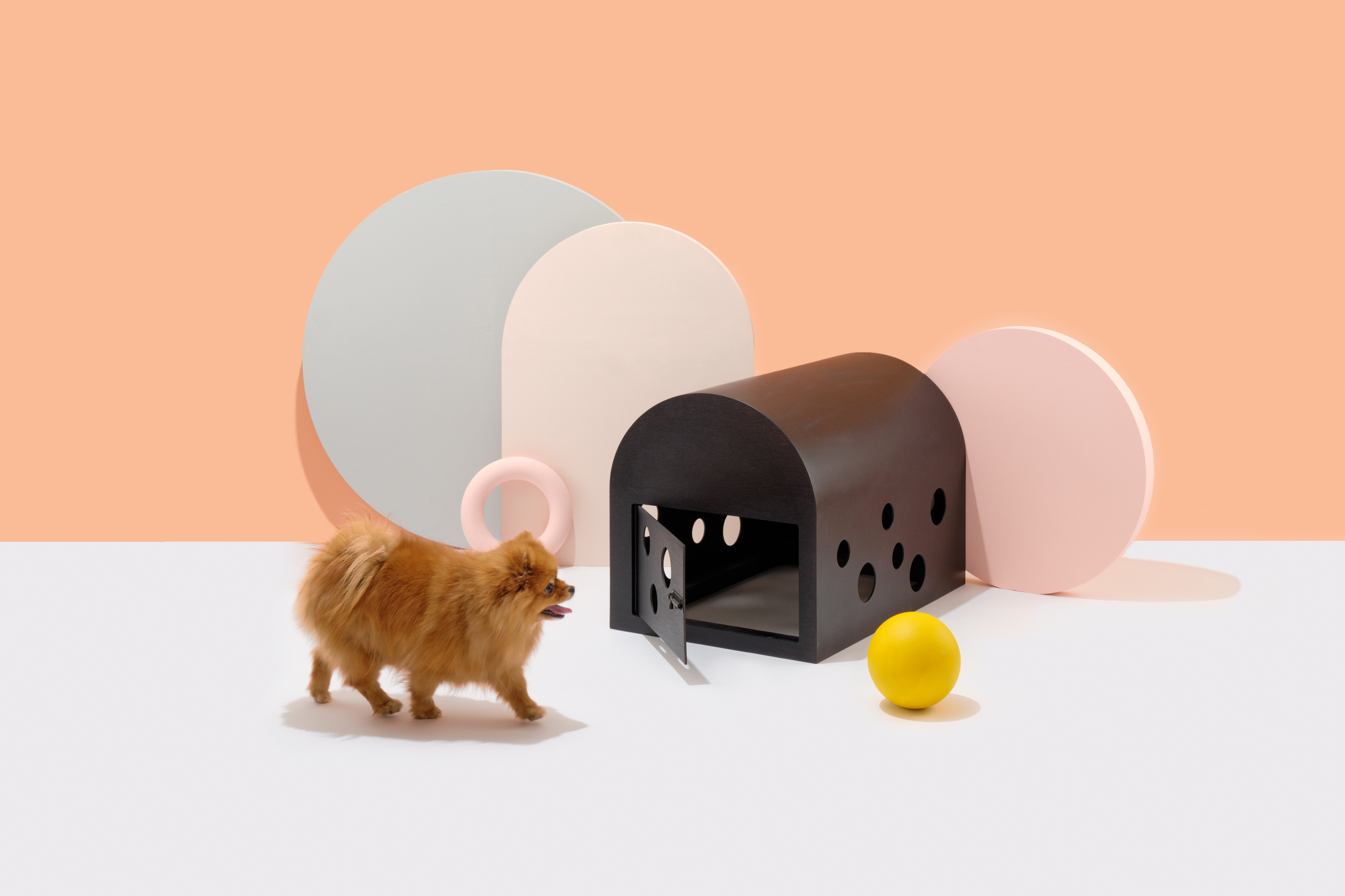 Black Cuut pet crate displayed with a small dog and abstract pastel shapes