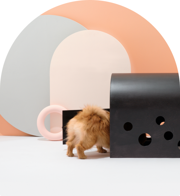 Small dog entering the black Cuut pet crate in a modern pastel setup